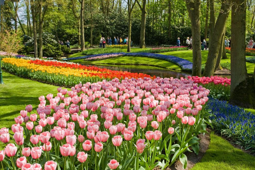 Tulip Inn Leiden Centre Luaran gambar